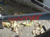 (232) BMX BOOMER 20 Zoll RH 24