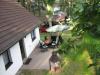 Ferienhaus im Darßwald