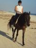 Reiten in Salalah,  Oman