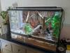 Australische Zwergpython incl. Terrarium,  LED Beleuchtung und Hitzestein