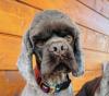 Funny-freundlich,  sozial