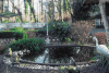 Teichbau Schwimmteich Koiteich