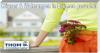 Hastedt! Reihenhaus mit 4 Zimmern und Garten gesucht.