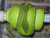 adulte corallus Canius 0.1 und Morelia viridis