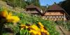 Urlaub im Schwarzwald - Ferienwohnungen auf dem Bauernhof
