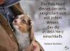 BGE - BooN-Grund-Einkommen