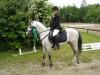 Troja Hengst Körung 2009