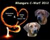 C-Wurfplanung für den Sommer 2012