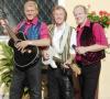Hochzeitsmusik tanzmusik, happysound alleinunterhalter tanzband, tanzduo tanztrio 