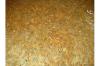 Spitzen KOIBRUT 1-3 cm St. nur 0, 33 EUR! Grosse Farbenvielfalt! Showa,  Sanke,  Ko