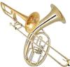 Posaunenunterricht in Saarbrücken - auch Tenorhorn /  Bariton /  Ventilposaune