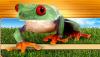 Terraristik-Shop  Amphibien und Reptilien 