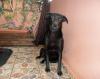 Poppy - Bilder sagen mehr als Worte