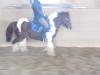 MAX - Ponywallach