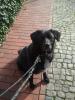 Dringend neues zu Hause gesucht
