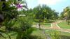 Ayurveda Rejuvenation-kur mit Vollpension und Yoga in Sri Lanka - 2 Wochen