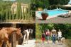 Toscana: Ferien mit Hund,  wo Natur und Kultur Hand in Hand gehen