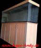 Verkaufe Aquarienkombination 1000L Neu!!!  Sonderanfertigung 250 x 60 x 70 cm Gl