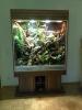 Regenwald-Terrarium für Chamäleon BJ 10/ 2011