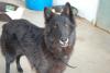 Mut sucht ein neues zu Hause