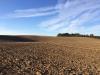 599, 31ha Agrarland in Lettland (KURLAND) zu verkaufen
