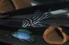 L046 Hypancistrus Zebra (zebra Pleco)  