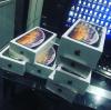 NEU Apple iPhone XS Max,  XS,  XR,  X,  8 Plus,  Banküberweisung und PayPal