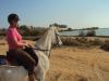 Reiten in Salalah,  Oman