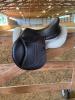 2021 CWD SE02 17.5 Full Buffalo,  ProFit und halbtiefer H/  J-Sattel