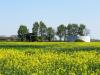 Info Ferienwohnungen Ostfriesland