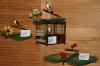Große !!! Vogelfalle, Bird Trap, Lebendfalle, Kloben