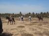 Reiten in Salalah,  Oman