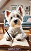 Notizbuch West Highland White Terrier,  Buch,  Hunde Motiv,  Kalender,  Organizer & 