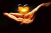 Top Love Spell Casters,  Love Spells,  Marriage Spells 