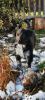 Bordercollie-Mischlingswelpen