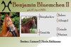 Boxenschilder - Lesezeichen aus Fotos von eurem Pferd! 