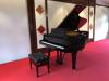Saal mit Steinway-Flügel,  Rotherbaum