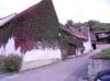 Sonne und Wein,  Winzerhof im Kaiserstuhl
