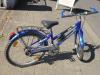 (103) 7 Gang Rücktrittsbremse 24 Zoll TECHNO-BIKE Made in Italia