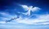 Angehelp sucht spirituele Berater/ innen ab 20.01.2015