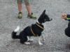 Lena,  3 Jahre,  sucht Traumzuhause