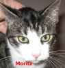 KATER VERMISST