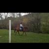 Reiterin sucht Reitbeteiligung. Villingen-Schwenningen/ Talheim