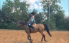 Suche Reitbeteiligung!