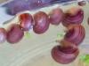 Suche reinrassige Apfelschnecken in lila,  blau,  gelb und grün