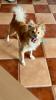 Cubo sucht ein neues zu Hause