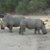 Namibia Rundreise zu den Höhepunkten,  10 Tage
