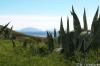 Madeira,  DZ/ ÜF,  Flug ab 289 €